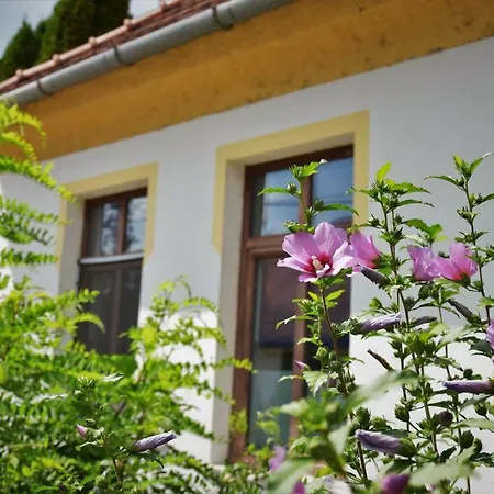 L&r Apartment Gyor